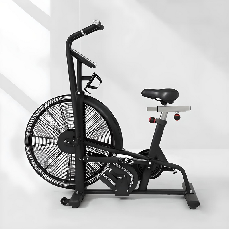 Assault Bike