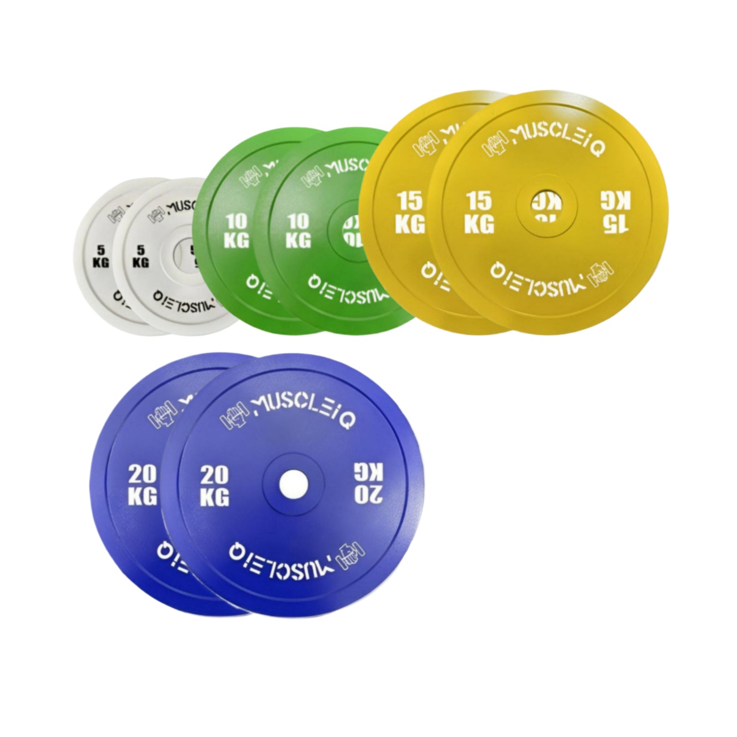 Calibrated Cast Iron Coloured Weight Plates IPF Standard