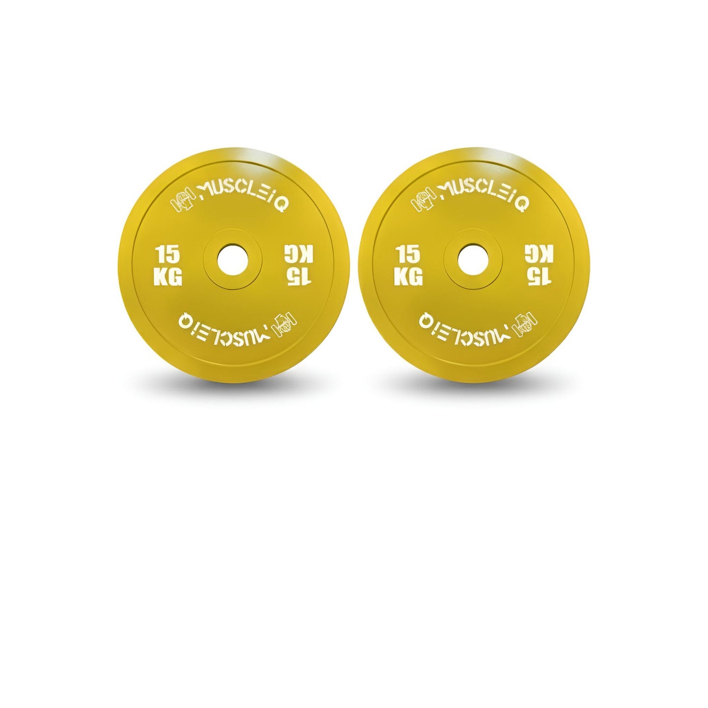 Calibrated Cast Iron Coloured Weight Plates IPF Standard