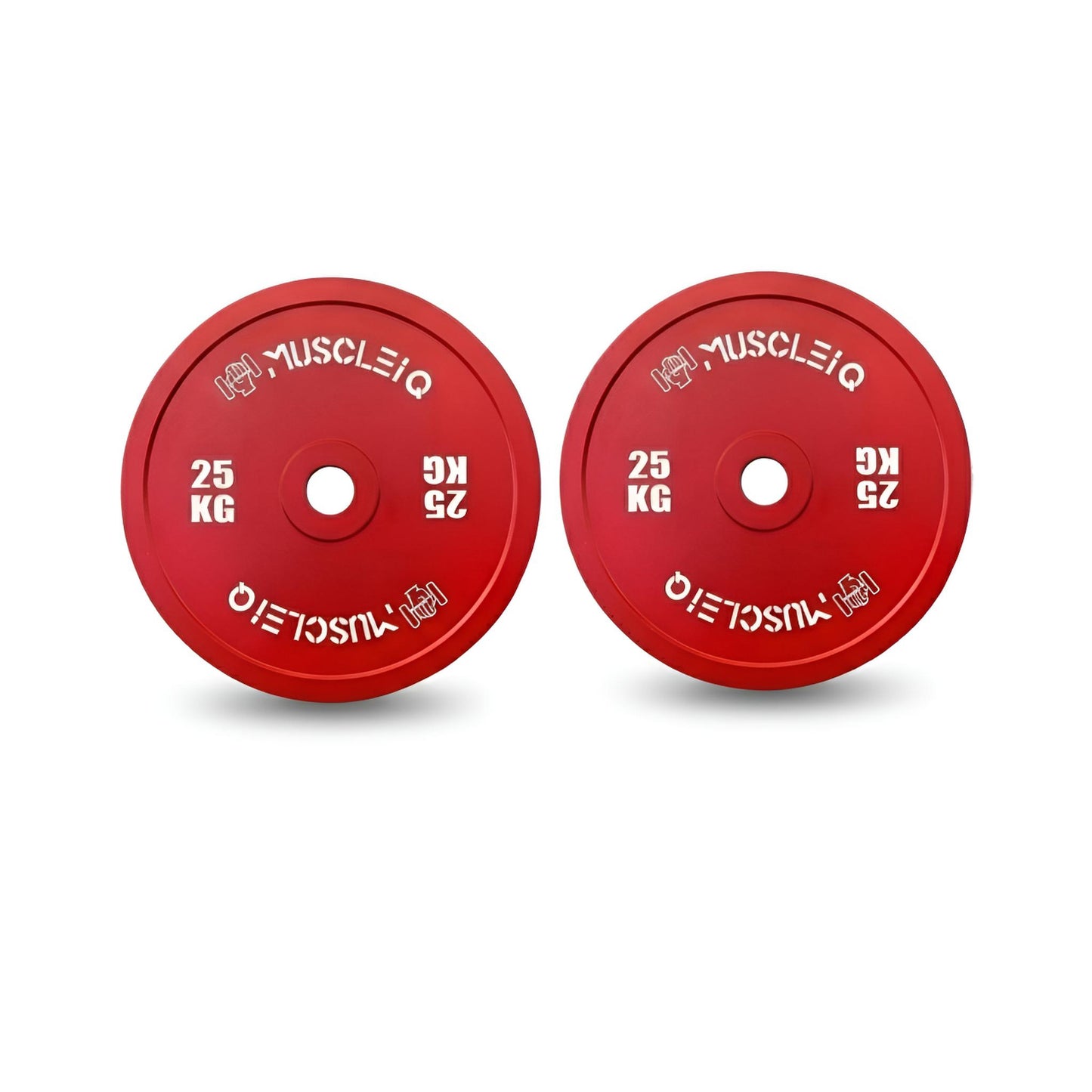 Calibrated Cast Iron Coloured Weight Plates IPF Standard