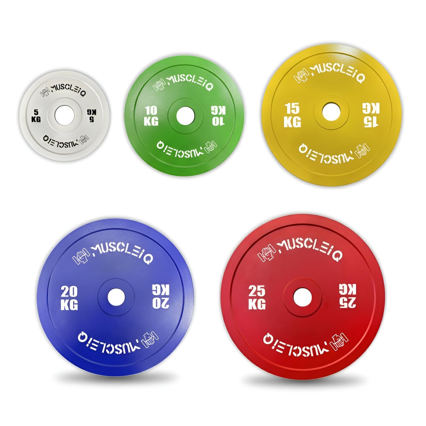 Calibrated Cast Iron Coloured Weight Plates IPF Standard