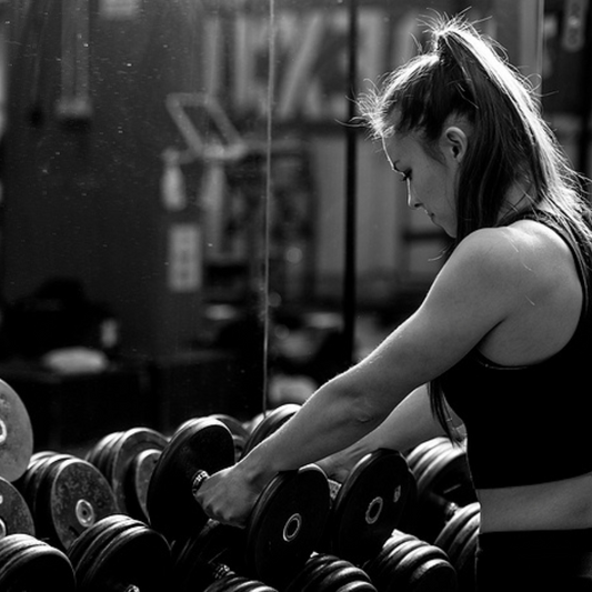  Olympic bumper plates 