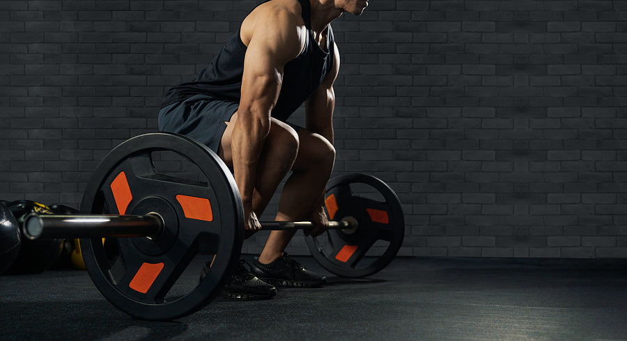 rubber bumper plates