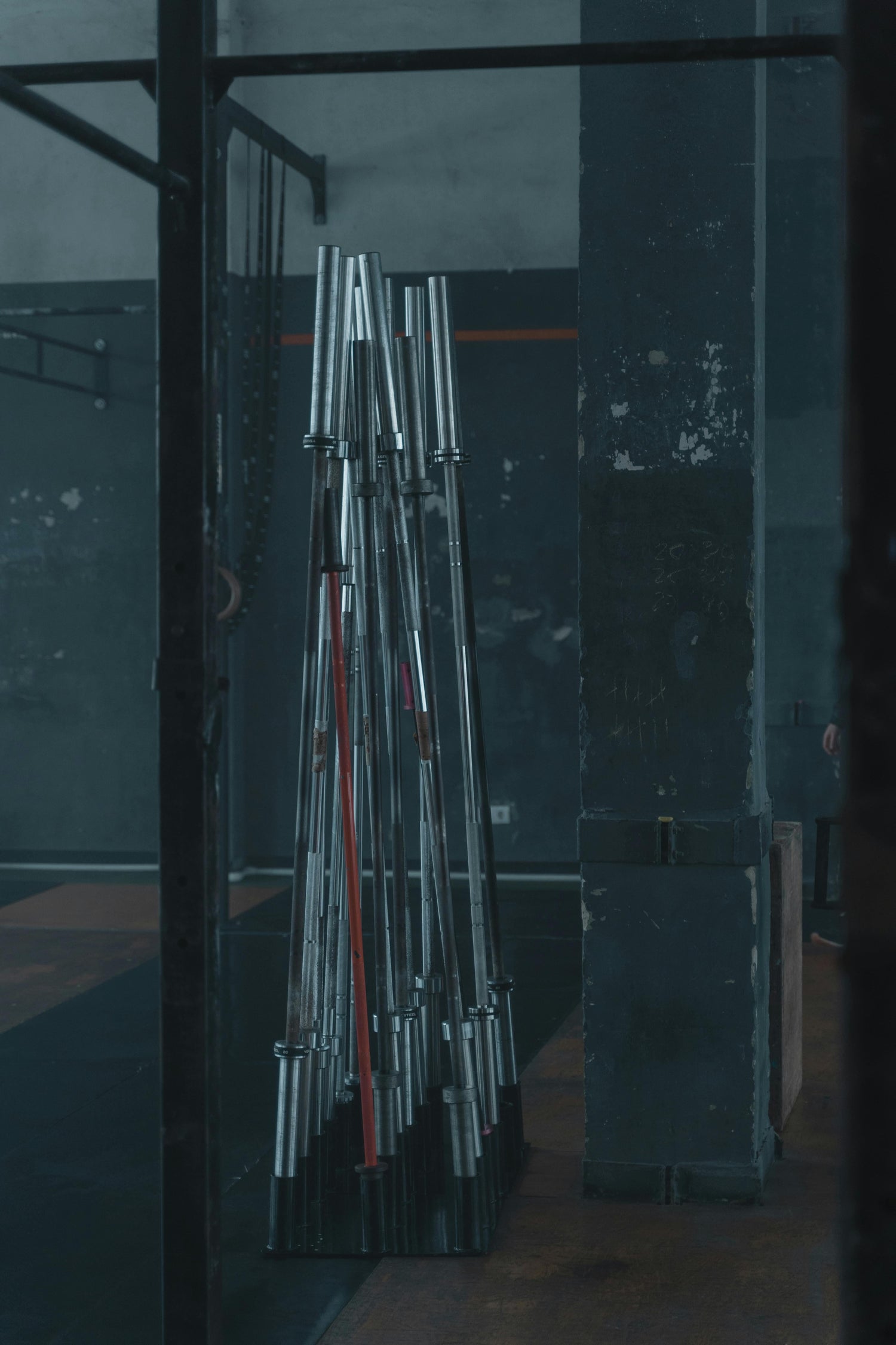 Bars and Collars-Muscleiq