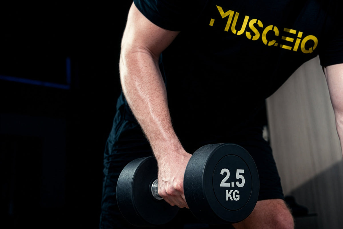 Round Dumbbells