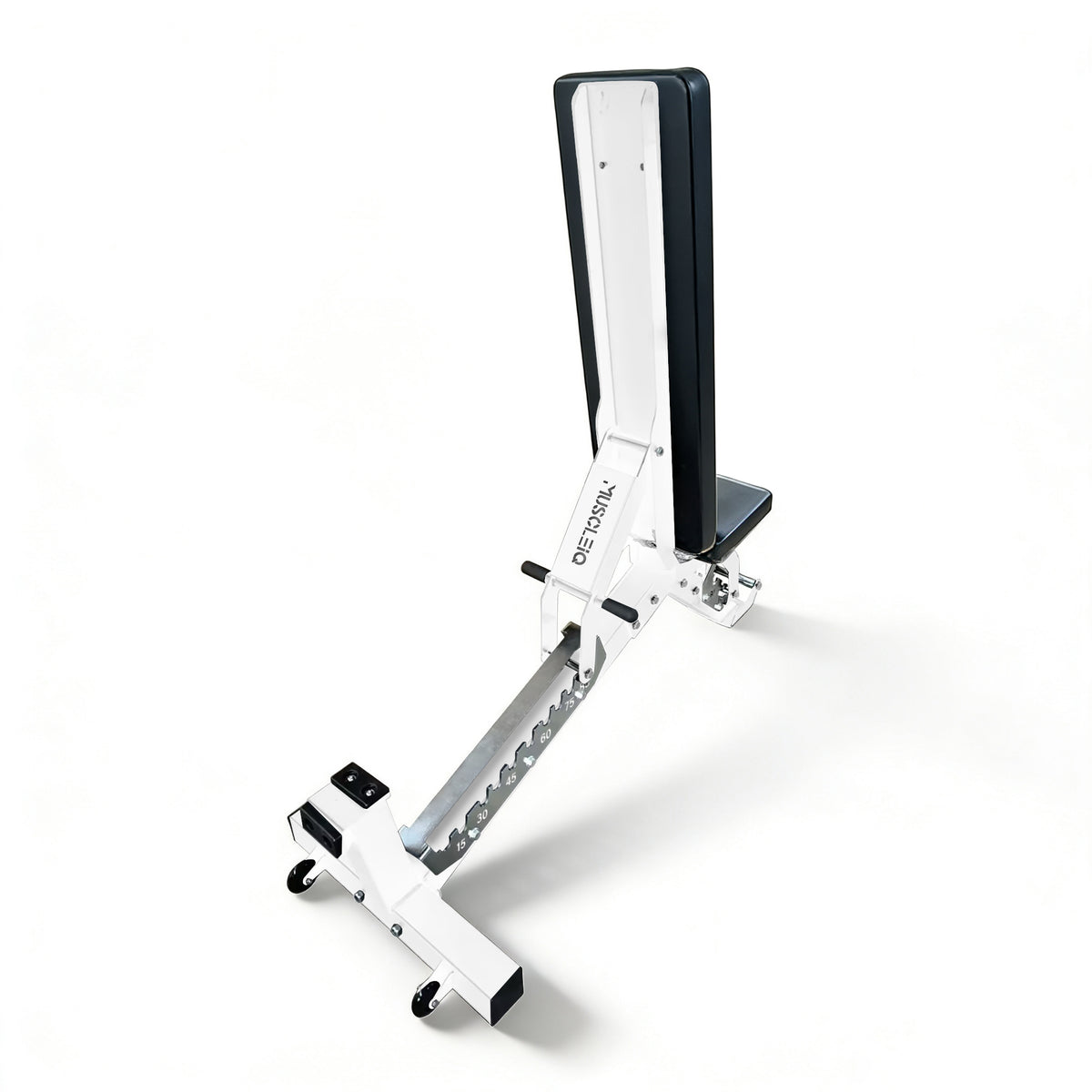 Commercial multifunctional weight bench with the backrest fully upright, rear view