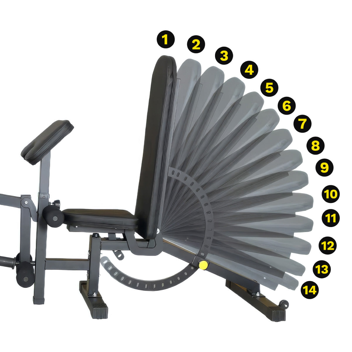 Adjustable Weight Bench with Leg Curl