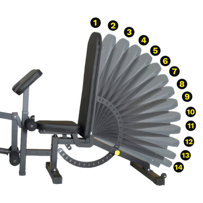 Adjustable Weight Bench with Leg Curl