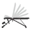 Adjustable Workout Bench