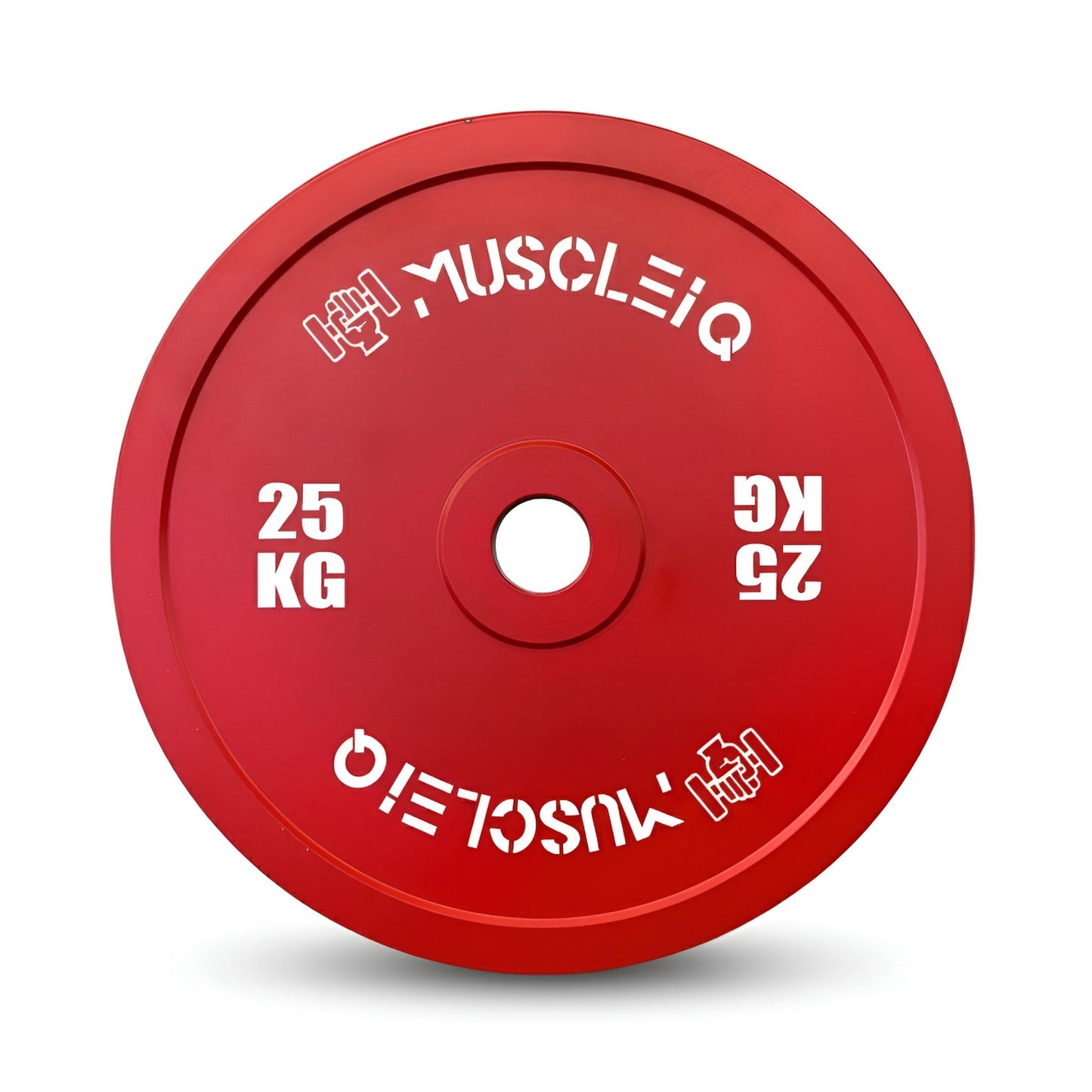 Calibrated Cast Iron Coloured Weight Plates IPF Standard