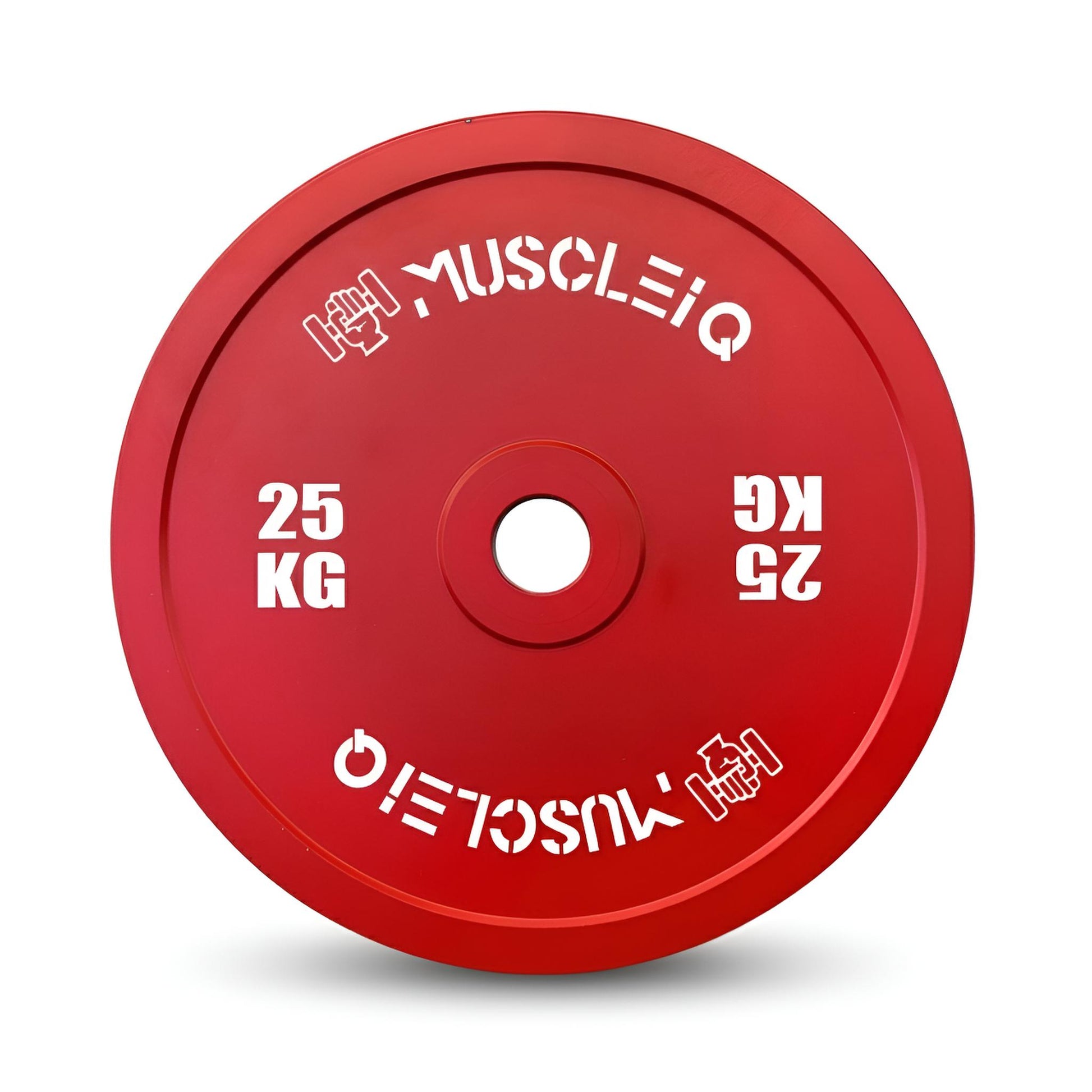 Calibrated Cast Iron Coloured Weight Plates IPF Standard