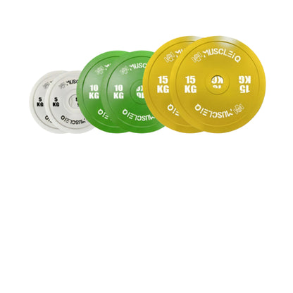 Calibrated Cast Iron Coloured Weight Plates IPF Standard