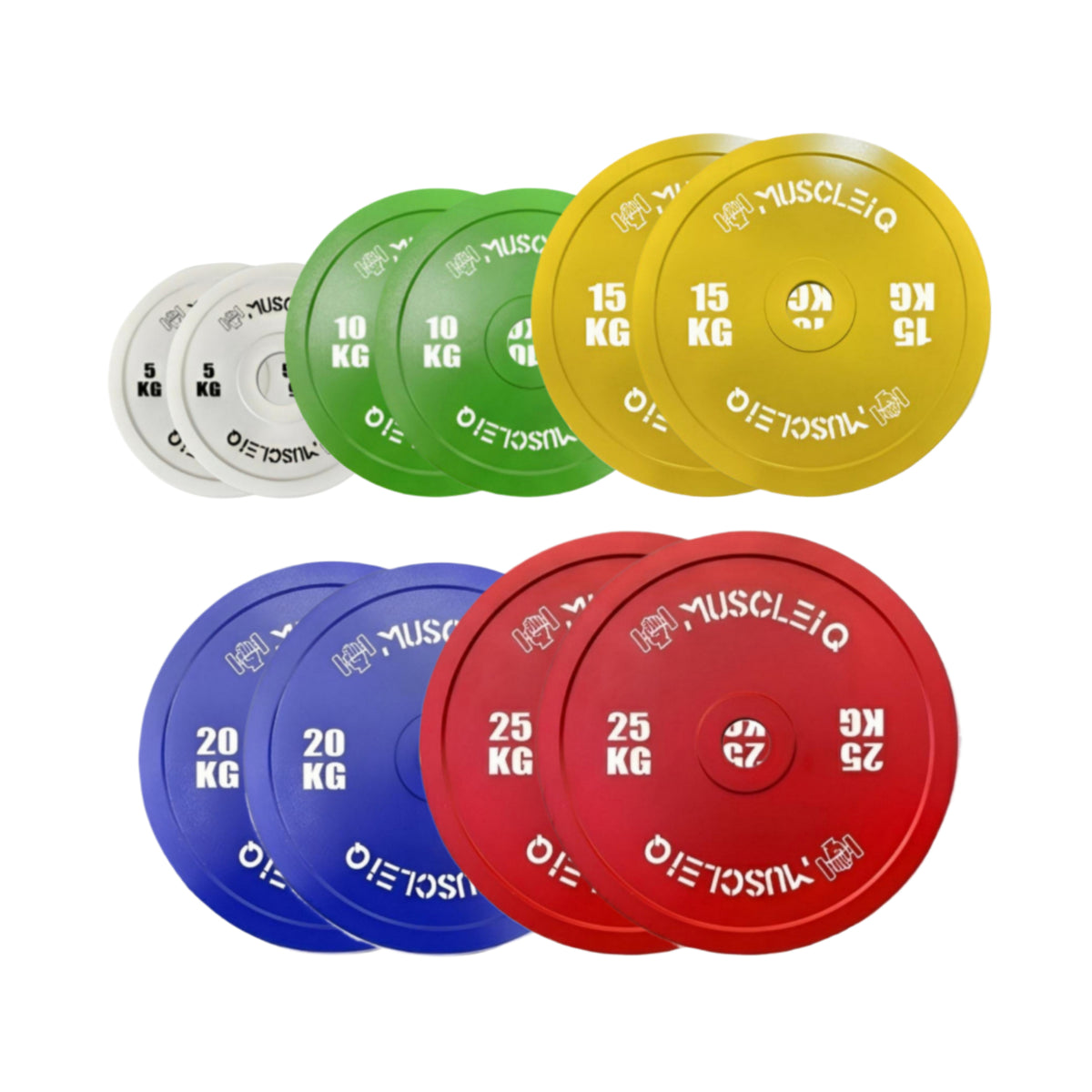 Calibrated Cast Iron Coloured Weight Plates IPF Standard