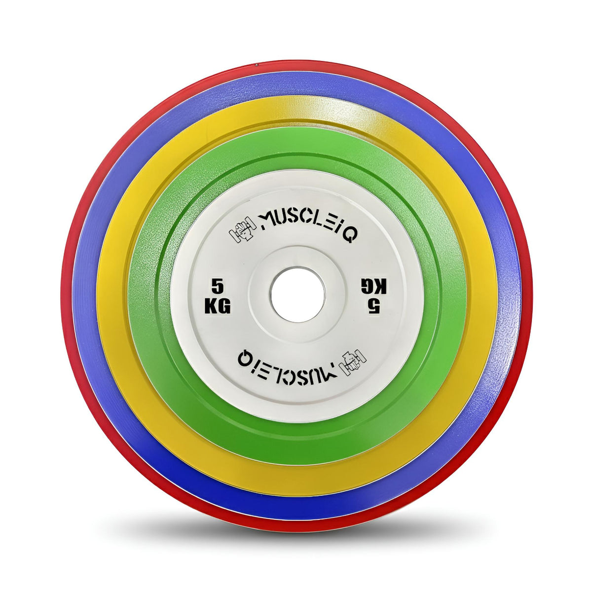 Calibrated Cast Iron Coloured Weight Plates IPF Standard