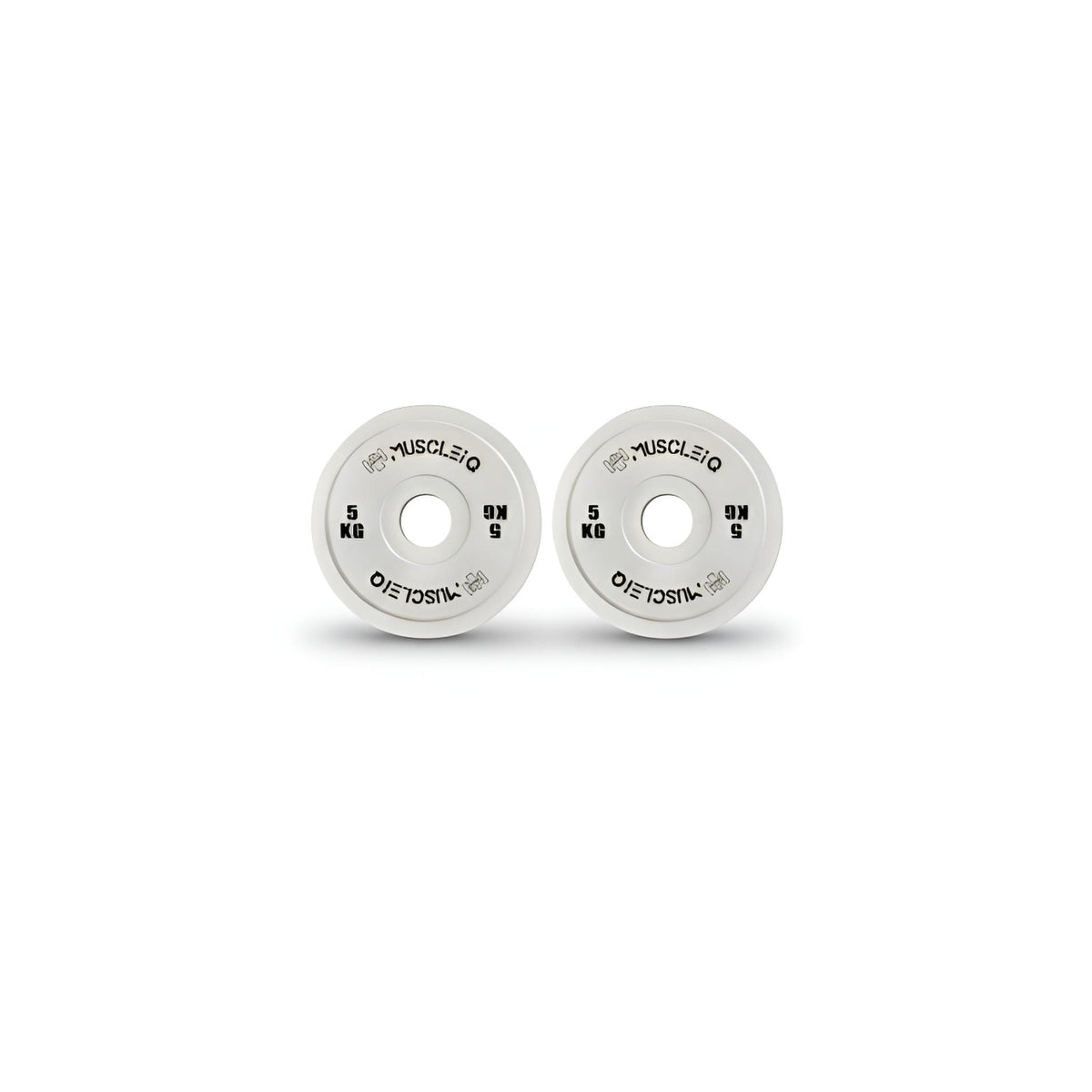 Calibrated Cast Iron Coloured Weight Plates IPF Standard