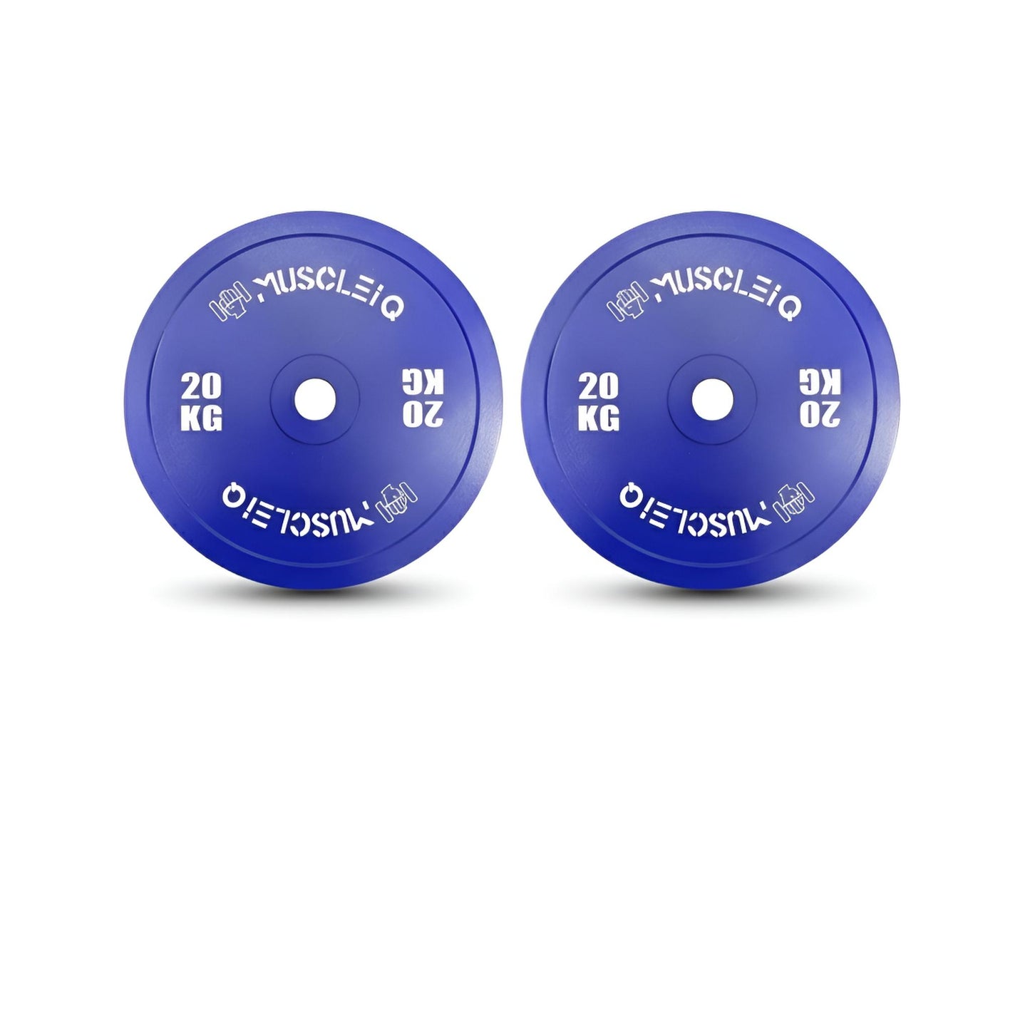 Calibrated Cast Iron Coloured Weight Plates IPF Standard