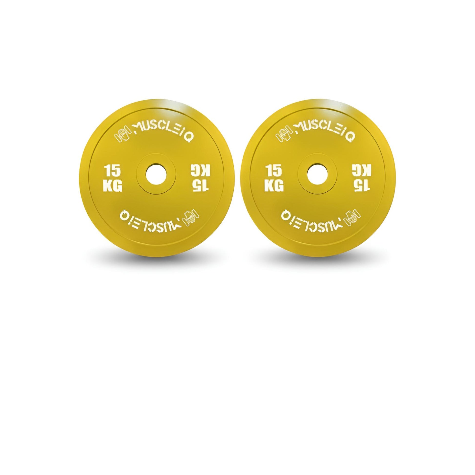 Calibrated Cast Iron Coloured Weight Plates IPF Standard