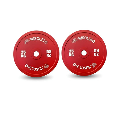 Calibrated Cast Iron Coloured Weight Plates IPF Standard