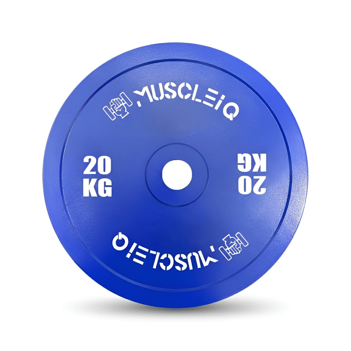 Calibrated Cast Iron Coloured Weight Plates IPF Standard