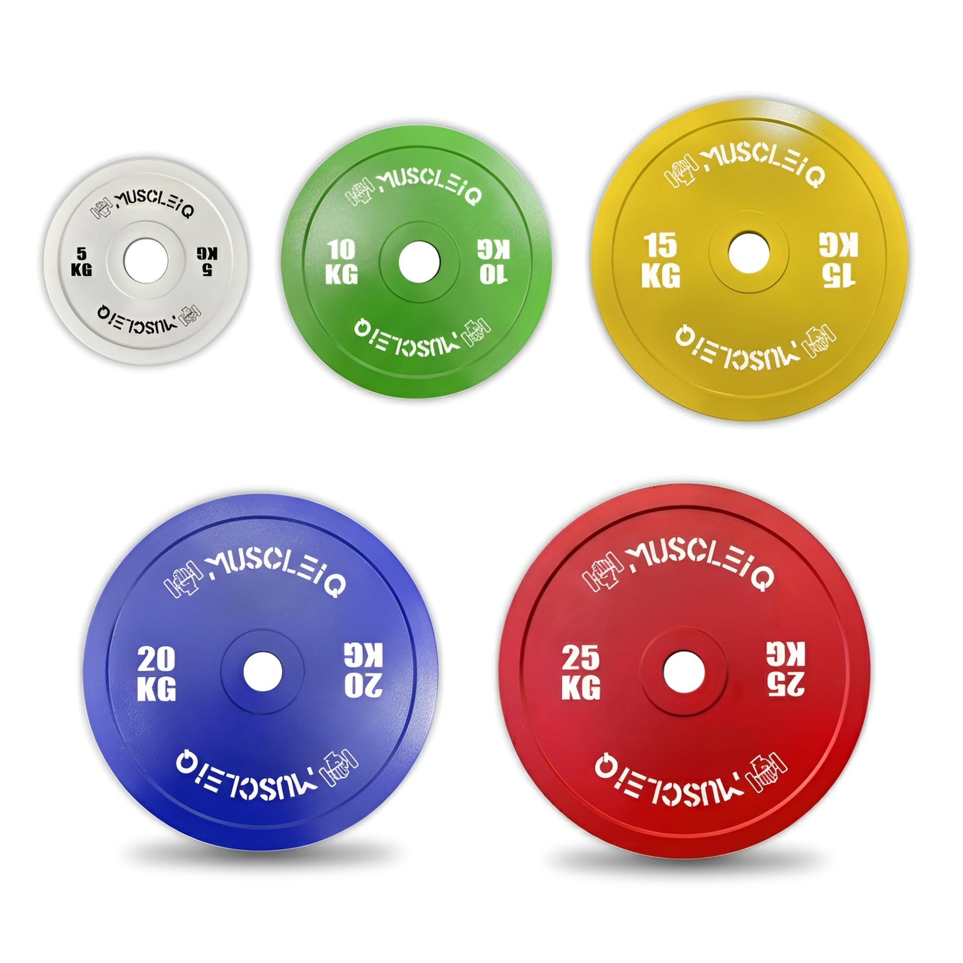 Calibrated Cast Iron Coloured Weight Plates