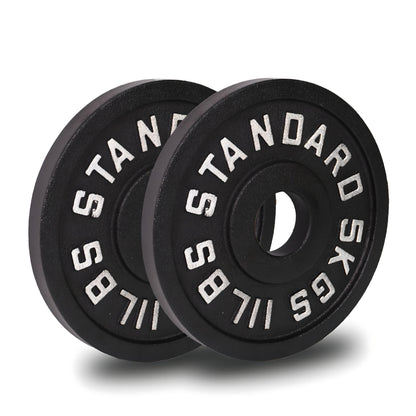 Cast Iron Weight Plates