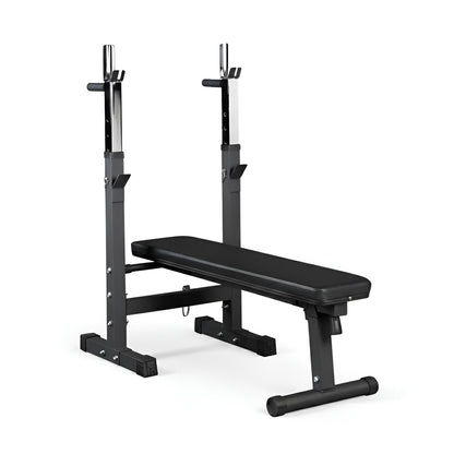 Folding Weight Bench with Dip Station