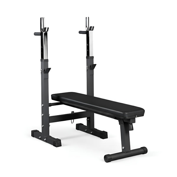 Folding Weight Bench with Dip Station