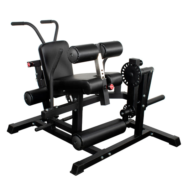 Leg Curl and Extension Machine