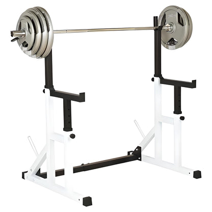 Squat Rack with Spotters