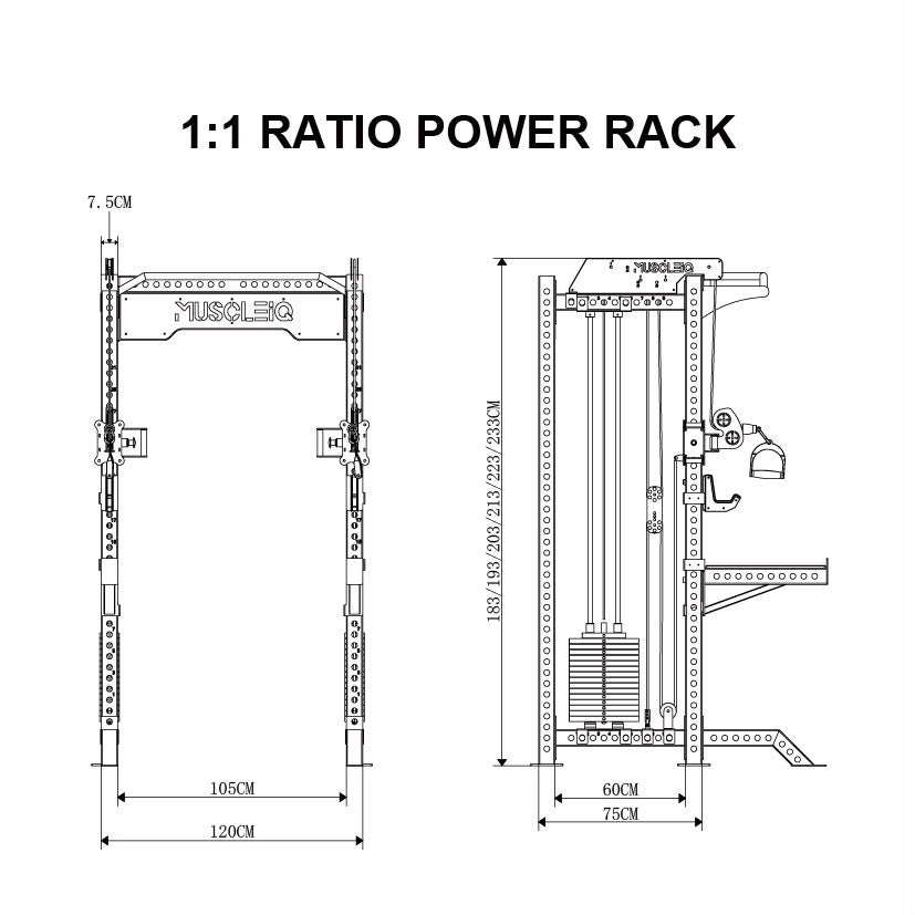 Multi Functional Power Rack 1:1